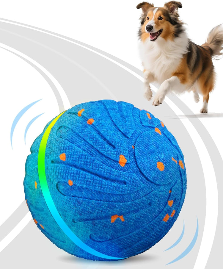 Dog Toys & Entertainment