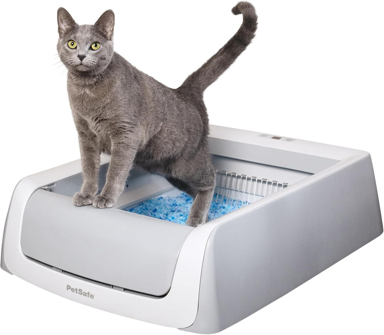Cat Litter & Housebreaking