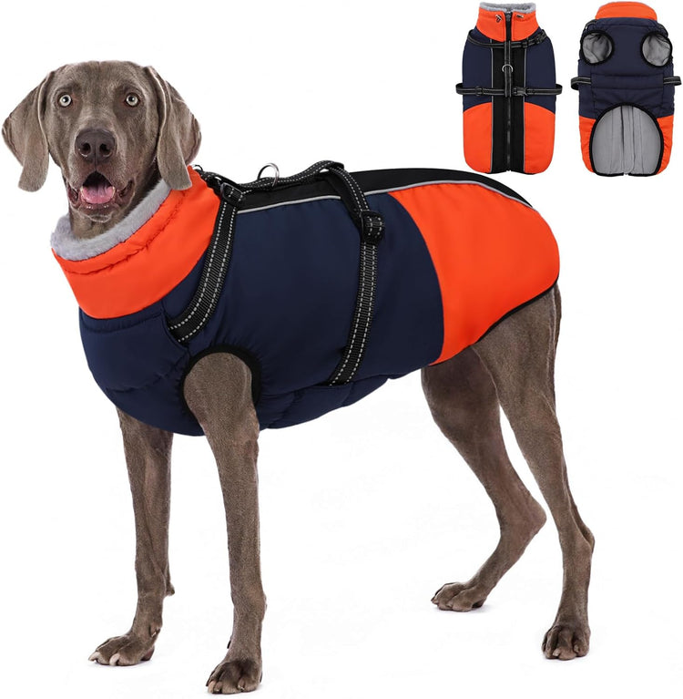 Dog Apparel & Accessories