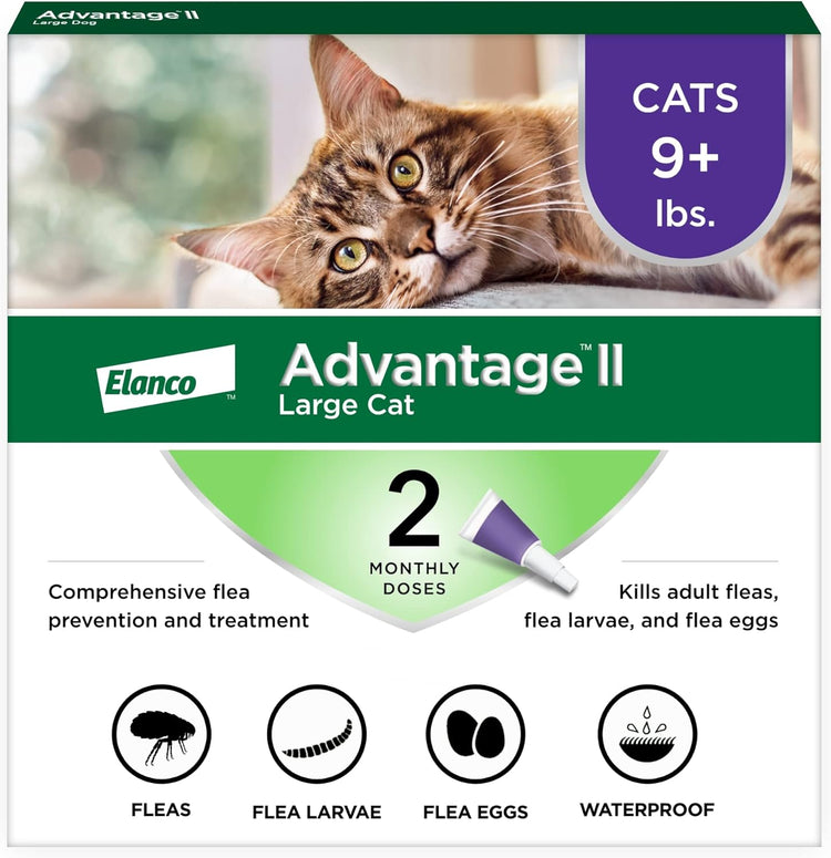 Cat Flea & Tick Control