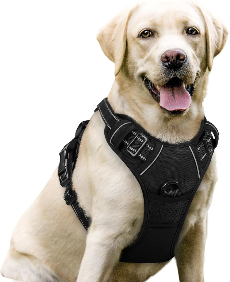 Dog Collars, Harnesses & Leashes