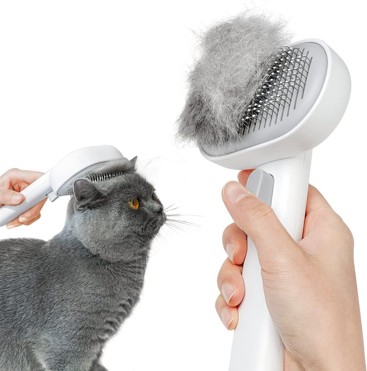 Cat Grooming & Hygiene