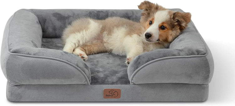 Dog Beds & Furniture