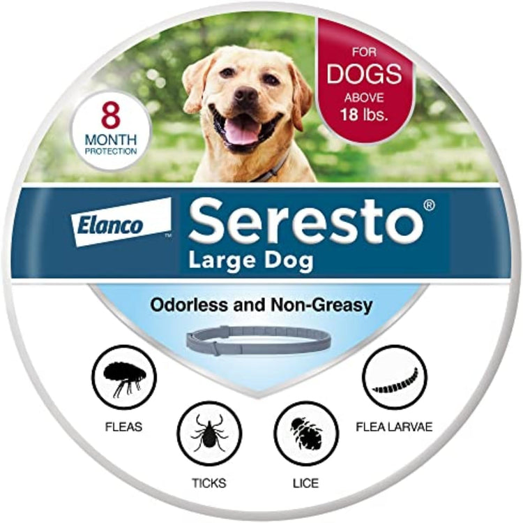 Dog Flea & Tick Control