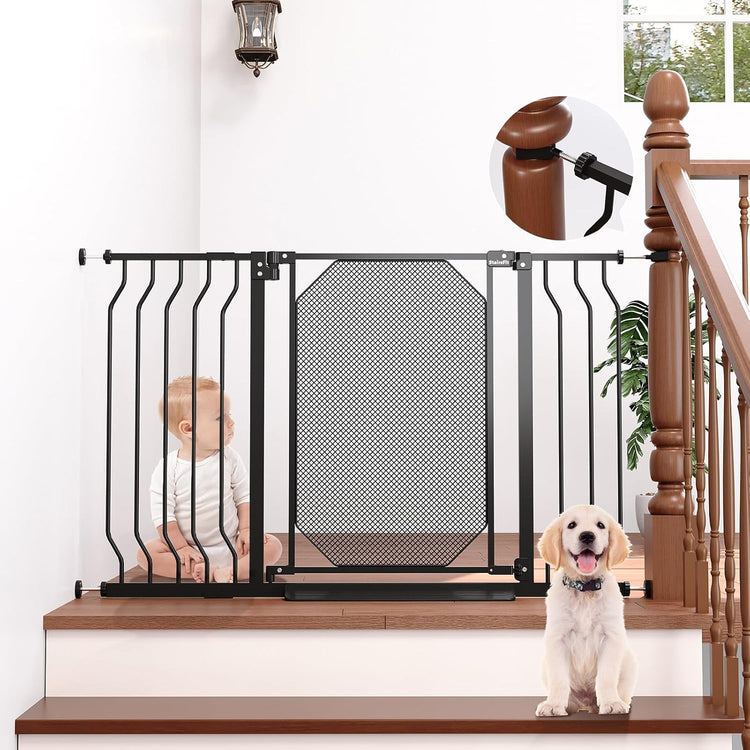 Dog Doors, Gates & Ramps