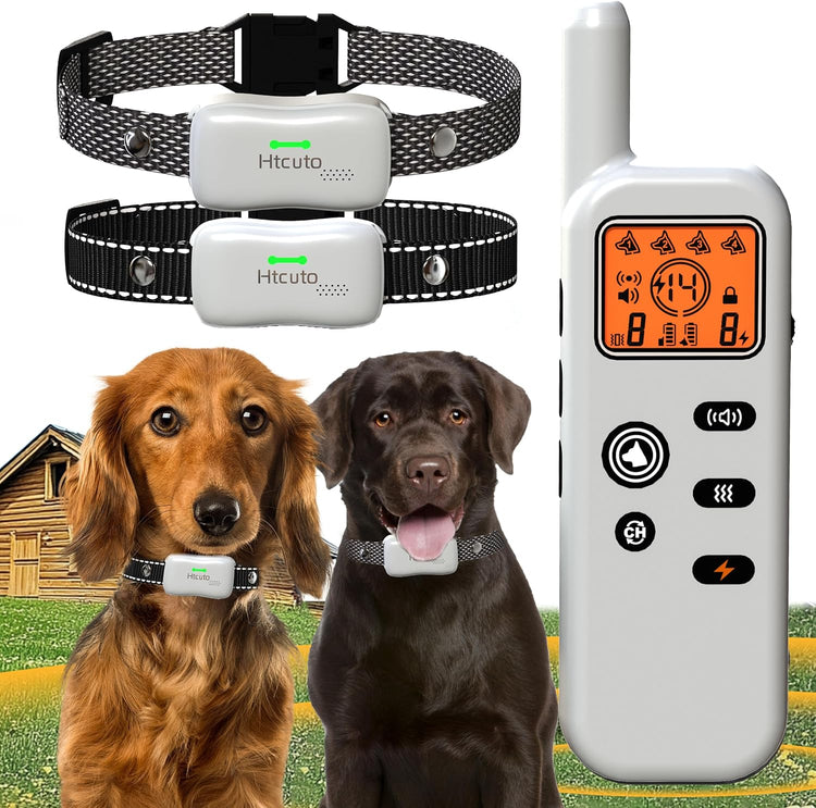 Dog Training & Behavior Aids