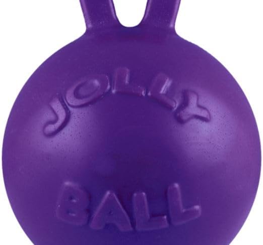 Jolly Pets Tug-n-Toss Heavy Duty Dog Toy Ball with Handle, 4.5 Inches/Small, Purple
