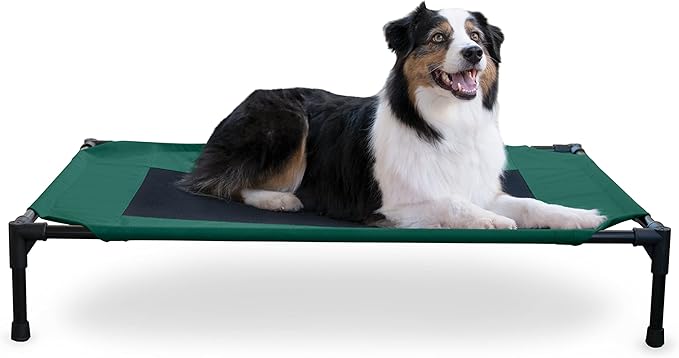 K&H Pet Products Outdoor Elevated Dog Cot, Breathable Cooling Elevated Cot Hammock Pet Bed for Large Dogs, Washable Mesh Cover, Raised Metal Frame, Collapsible, Portable - Large 42 X 30in Green