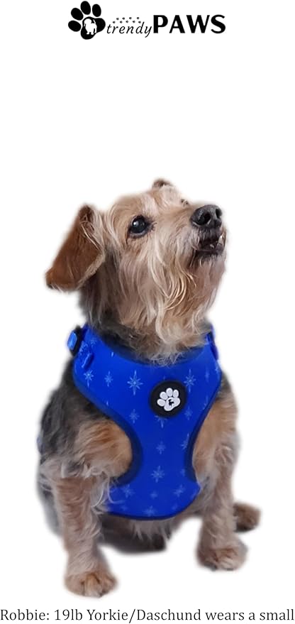 TrendyPaws Dog Harness, Collar and Leash Set, Breathable Mesh, S/M/L Sizes (Cobalt, Large)