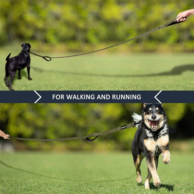 Plutus Pet Double Handle Dog Leash 5ft, Heavy Duty, Reflective Dual Handle Dog Leash for Safety Training, for Medium Large Dogs,2 Handle Leads, Ranger Green