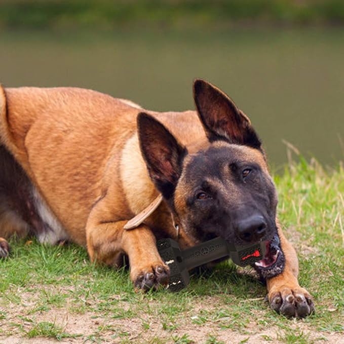 Hswaye Dog Chew Toys for Aggressive Chewers,Food Grade Non-Toxic Dental Pet Toy,Tough Durable Indestructible Dog Toys for Medium Large Dogs.Black.