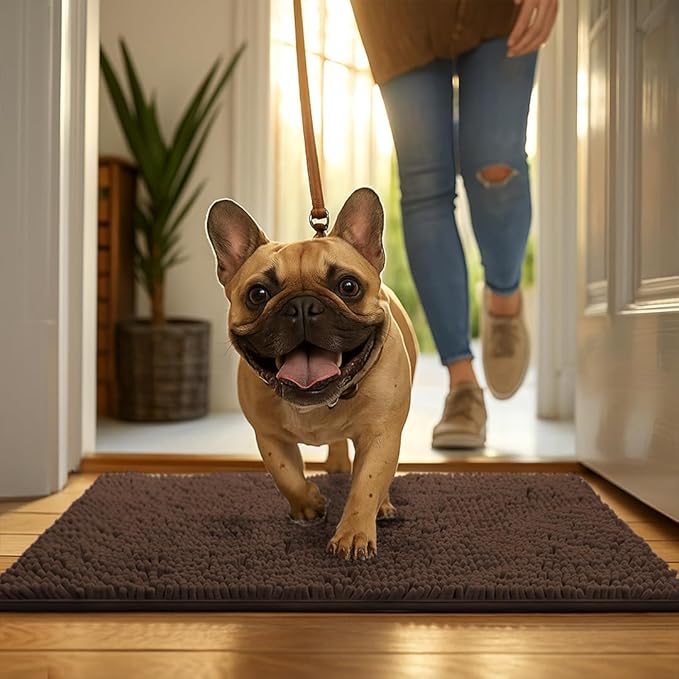 MudGuard Mat™ Dog Door Mat for Muddy Paws, Super Absorbent Microfiber, Non-Slip Indoor Mat, Quick Dry Chenille Mud Mat for Dogs & Entryway, Washable, Choco 16" x 24"