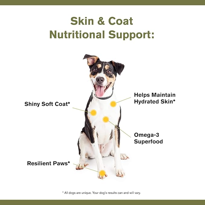 Skin & Coat Canine Supplement w/Omega-3 Fatty Acids, Org. Ingredients, Antioxidant Topper, Nourish Coat &Paws, Joint, Support Shiny Coat & Healthy Skin by Katherine Heigl (30 Scoops)