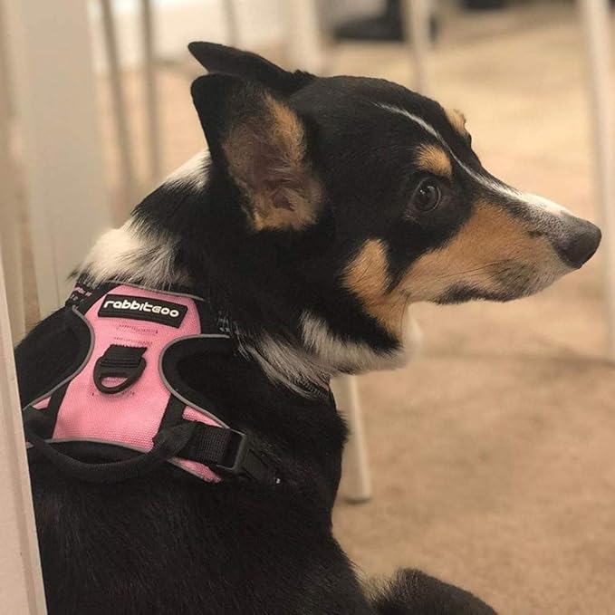 rabbitgoo Dog Harness No Pull with 2 Leash Clips, Adjustable Soft Padded, Reflective Oxford No Choke Pet Vest with Easy Control Handle for Small Dogs, Pink, S