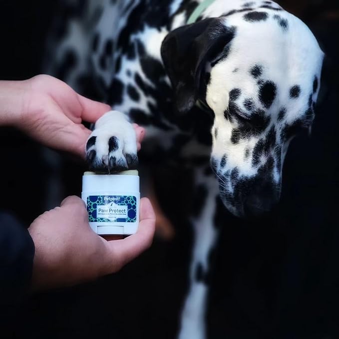 Petpost | Paw Protection for Dogs - Organic Sunflower Oil and Beeswax Balm for Hot Pavement - Wax Coats Dog Feet to Prevent Burns from Heat & Cold 0.64 oz.