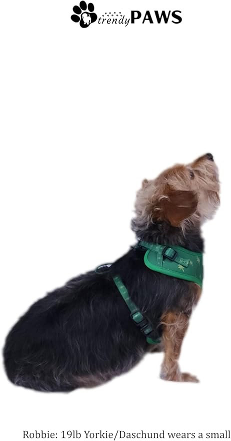 TrendyPaws Dog Harness, Collar and Leash Set, Breathable Mesh, S/M/L Sizes (Emerald, Large)