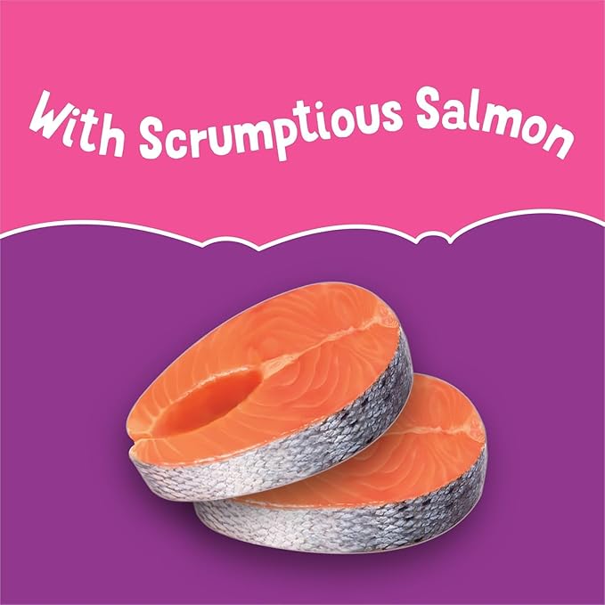 Aurora Pet Variety (16) Pureed Topper Lickable Cat Food (4) Chicken (4) Turkey (4) Salmon (4) Tuna (1.55-oz Each) with AuroraPet Wipes