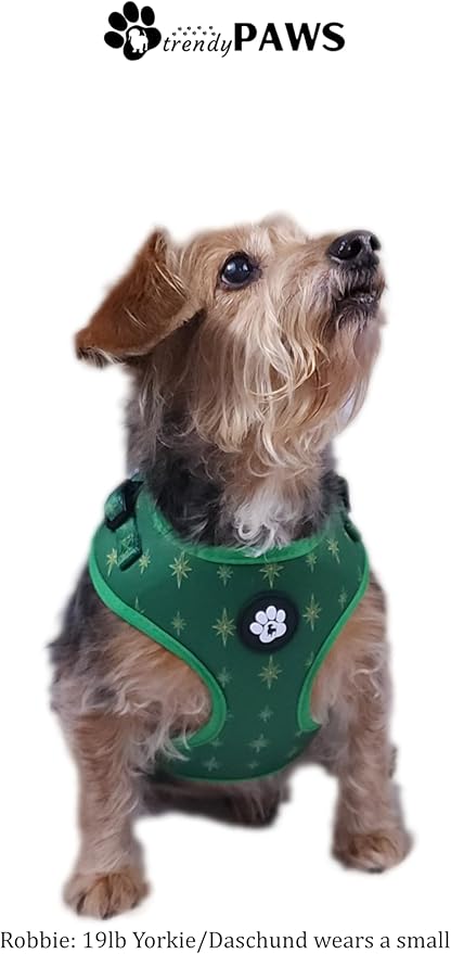 TrendyPaws Dog Harness, Collar and Leash Set, Breathable Mesh, S/M/L Sizes (Emerald, Large)