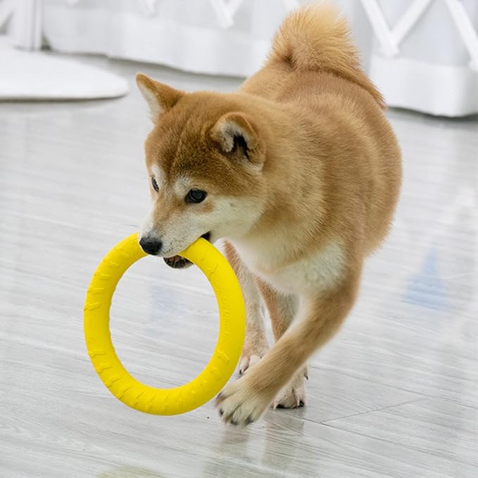 Dog Flying Disc,Floating Dog Ring Toys, Indestructible Dog Chew Toys for Small Chewers Dog Toys for Pool,Float Durable Outdoor &Indoor Puppy Toy for Throwing,Catching,Swimming,Training