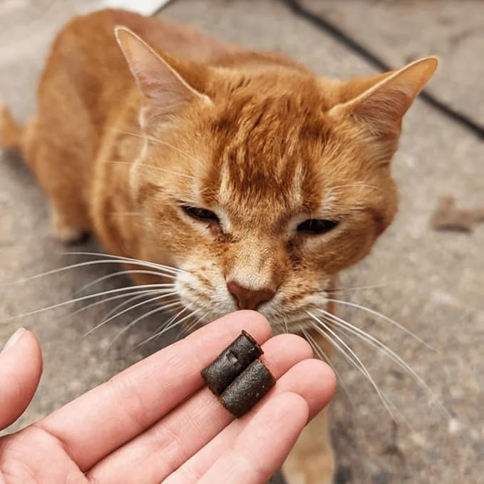 Hemp Well Calm Cat Soft Chews - Anxiety & Stress Relief Formula, Organic Ingredients, Soothes & Relaxes, Improves Behavior, 60 Count