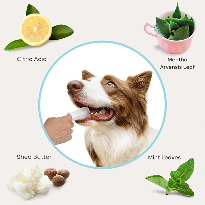 Uproot Clean Pet Dental Finger Wipes for Dogs & Cats (50ct.): Easy & Effective Cat and Dog Teeth Cleaning Wipes - Dog Dental Tissues for Plaque, Tartar, & Bad Breath - Safe, Rinse-Free, Disposable