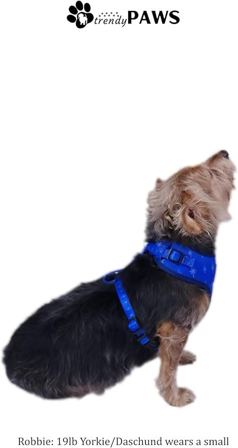 TrendyPaws Dog Harness, Collar and Leash Set, Breathable Mesh, S/M/L Sizes (Cobalt, Small)