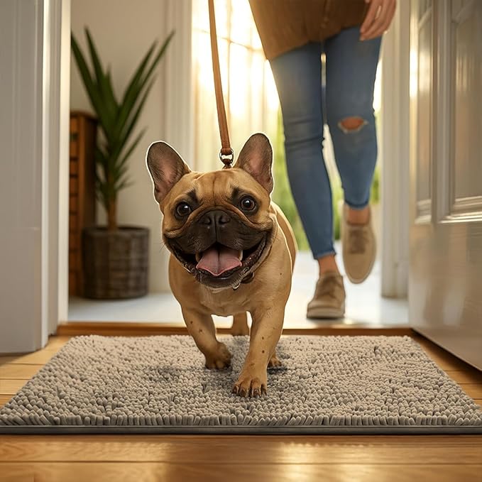 MudGuard Mat™ Dog Door Mat for Muddy Paws, Super Absorbent Microfiber, Non-Slip Indoor Mat, Quick Dry Chenille Mud Mat for Dogs & Entryway, Washable, Beige 19" x 30"