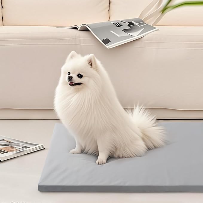 Dog Mat,19"x 30"Dogs Crate Pad,Indoor Non-Slip & Waterproof Dog Mat,Easy Wipe Clean in Seconds,Sleeping for Floor,Car,Sofa,Crate