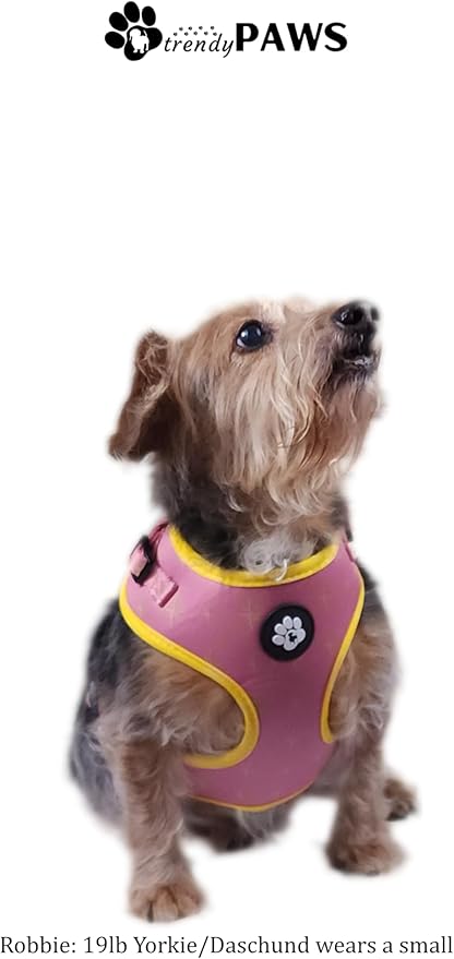 TrendyPaws Dog Harness, Collar and Leash Set, Breathable Mesh, S/M/L Sizes (Rose Gold, Medium)