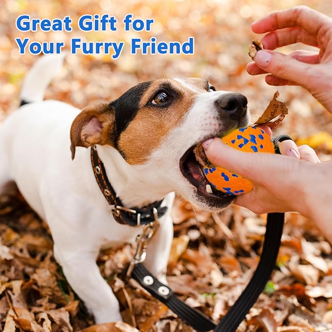 POUPUA 2-Pack Super Bouncy Dog Balls — Lightweight & Safe (Won’t Hurt Dogs), Indestructible Tennis Balls for Aggressive Chewers, Durable Floating Fetch Toys for Small & Medium Dogs