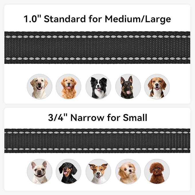 Joytale Dog Leash, 6 FT Double-Sided Reflective, Padded Handle Nylon Heavy Duty Leashes for Small Dogs Walking, Black