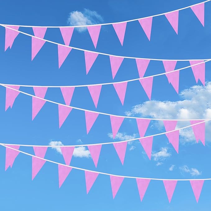 100 Feet Pink Pennant Banner Flags, 60 Pcs DIY Flag for Birthday, Party, Shops, Outdoor and Indoor Decorations, Festival Celebration (Pink)