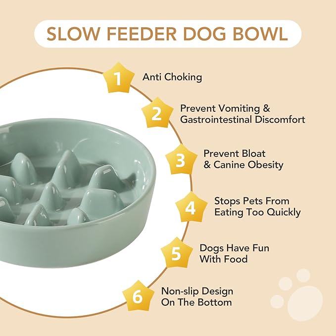 Ceramic 1.2 Cup Dog Bowl Slow Feeder, 7.3 inch Slow Pet Food Dish for Medium and Small Dog, Stop Bloat, Preventing Choking(Single Bowl, Light Green)