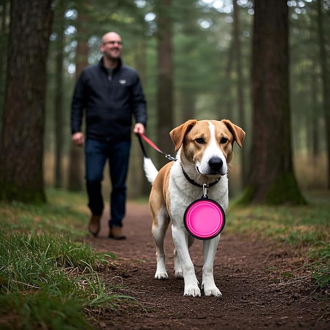 Dog Bowl Pet Collapsible Bowls, 2 Pack Collapsible Dog Water Bowls for Cats Dogs, Portable Pet Feeding Watering Dish for Walking Parking Traveling with 2 Carabiners (Pink+Purple, Medium)