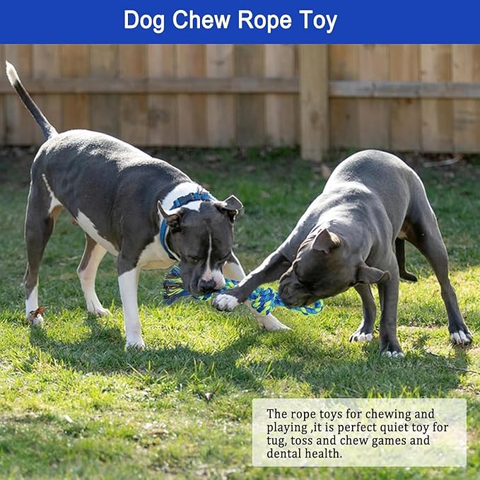 SYOOY Dog Bungee Tug Toy Hanging from Tree,Outdoor Tug of War Interactive Tether Dog Rope with Chew Lure for Small Medium Large Dogs (Blue)