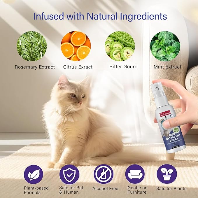 Cat Deterrent Spray Indoor & Outdoor, Natural Cat Spray Deterrent, Cat Deterrent Stopping Scratching & Urine Making, Anti-Pee Deterrent Spray, Effective for Tranning Aid, 2Pcs