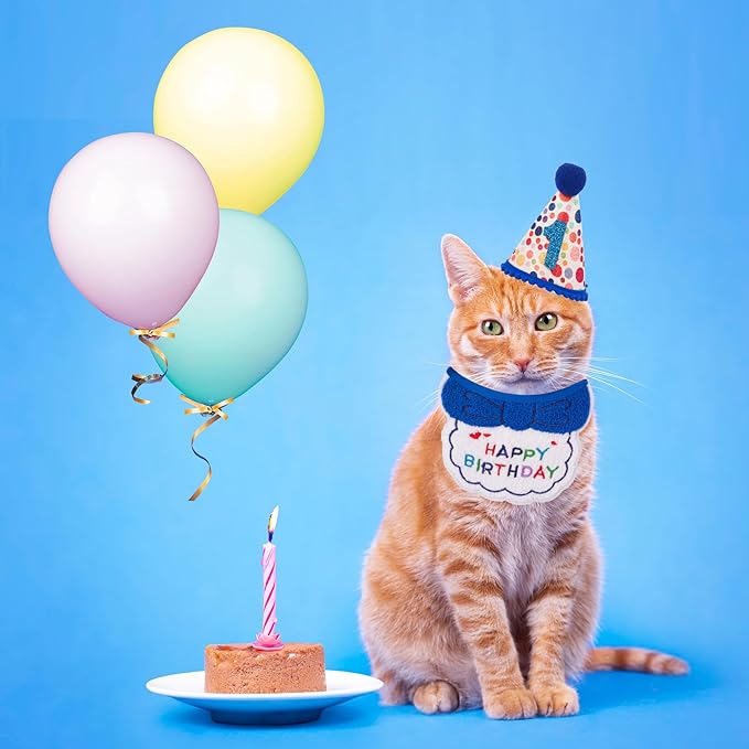 ADOGGYGO Cat Birthday Party Supplies, Blue Boy Cat Kitten Birthday Bandana Hat Numbers Pet Birthday Decorations Outfits