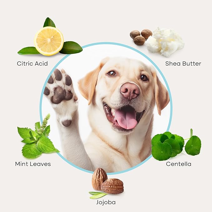 Uproot Clean Dog Paw Cleaner - No-Rinse Paw Cleaner for Dogs - Easy Dog Foot Washer with Bristle Brush - Fragrance-Free Foot Scrubber for Home and On-the-Go - Hypoallergenic & Safe All Dogs