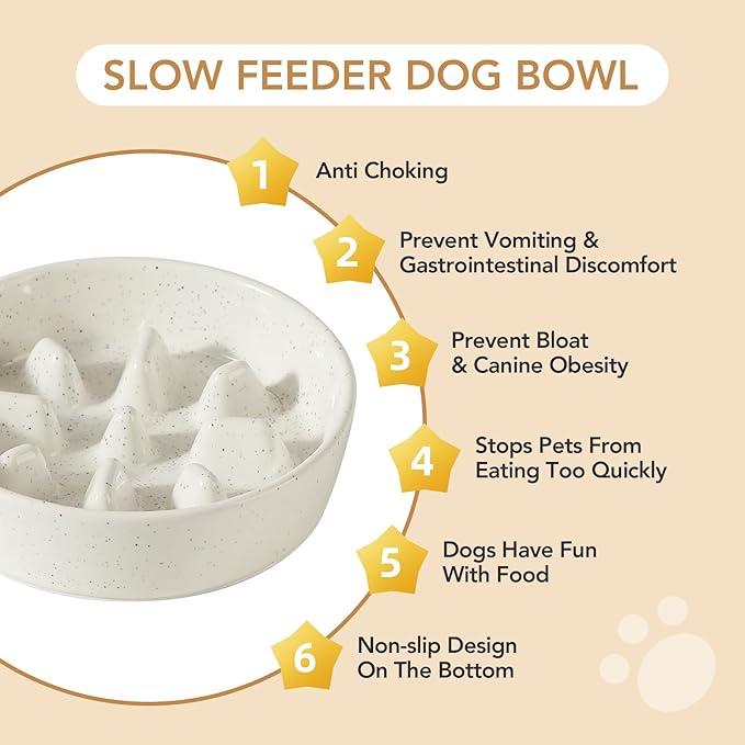 Ceramic 0.9 Cup Raised Slow Feeder Dog Food and Water Bowl Set, Elevated 6.1inch Bowl and 6.1inch Dish with Acacia Wood Stand for Small Dogs(2 x Vanilla White+ Stand)