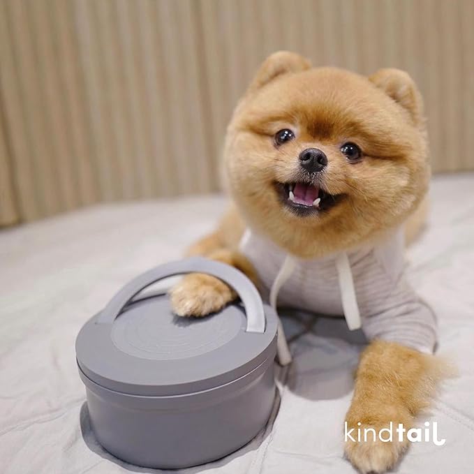 KindTail Portable Pet Feeder, Travel Dog Bowls with Lid and Handle, Microwave and Dishwasher-Safe, 10oz Inner Bowl & 20oz Outer Bowl, Grey