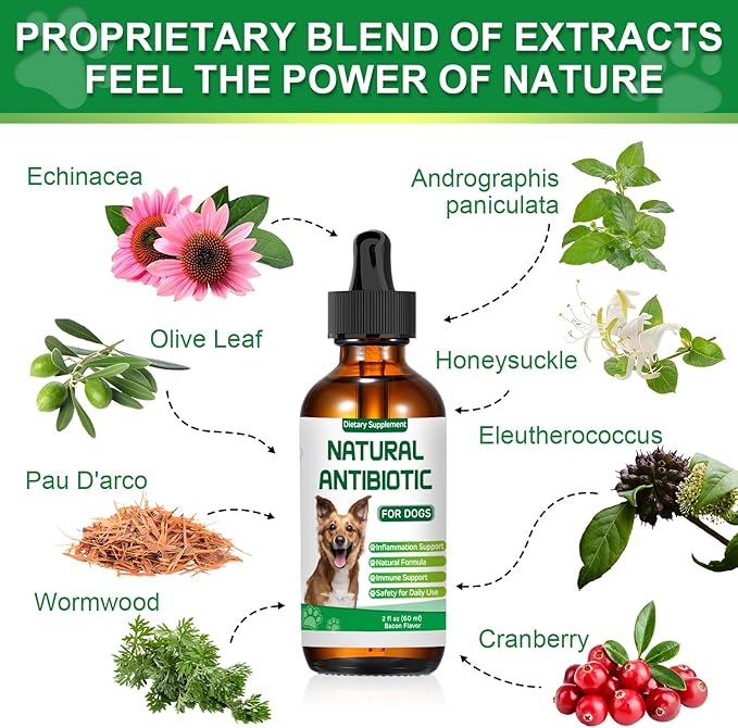 Antibiotics for Dogs,Natural Antibiotics for Dogs,Dog Antibiotic,Pet Antibiotic, Dog Multivitamin, Supports Allergy and Itch Relief,Dietary Supplement,Natural Herbal Supplement