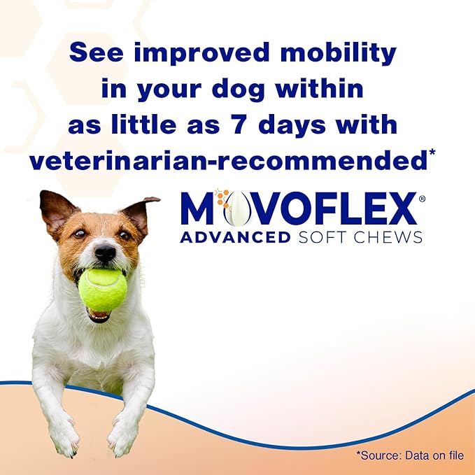 Advanced Soft Chews Hip and Joint Support Supplement for Large Dogs 120 Count by Virbac