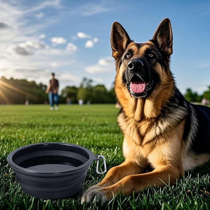 Dog Bowl Pet Collapsible Bowls, 2 Pack Collapsible Dog Water Bowls for Large Dogs Cats, Portable Pet Feeding Watering Dish for Walking Parking Traveling with 2 Carabiners (Black+Black, Jumbo)