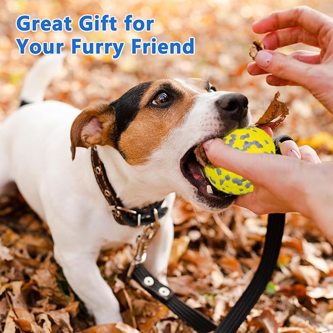 POUPUA 2-Pack Super Bouncy Dog Balls — Lightweight & Safe (Won’t Hurt Dogs), Indestructible Tennis Balls for Aggressive Chewers, Durable Floating Fetch Toys for Small & Medium Dogs