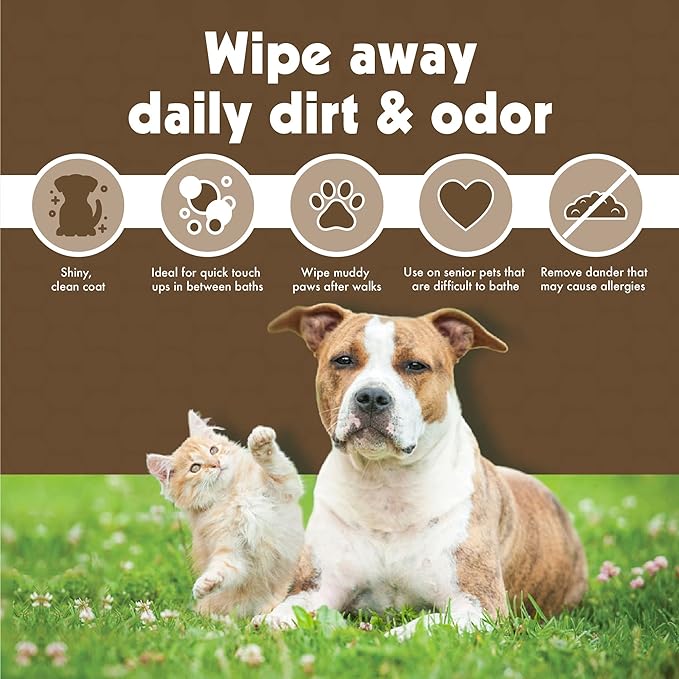 Petkin Mega PetWipes, 200 Wipes - Oatmeal Pet Wipes for Dogs and Cats, Use on Face, Paws, Ears, Body and Eye Area - Ideal for Home or Travel