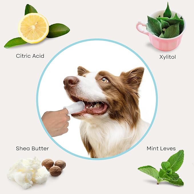 Uproot Clean Pet Dental Finger Wipes for Dogs & Cats (50ct.): Easy & Effective Cat and Dog Teeth Cleaning Wipes - Dog Dental Tissues for Plaque, Tartar, & Bad Breath - Safe, Rinse-Free, Disposable