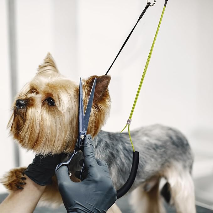Pet Grooming Loops, Pet Belly Loop Restraint No Sit Haunch Holder for Pet Dog Grooming Arm and Table,Sturdy Noose Loop Dog Supplies for Small Medium Large Dogs