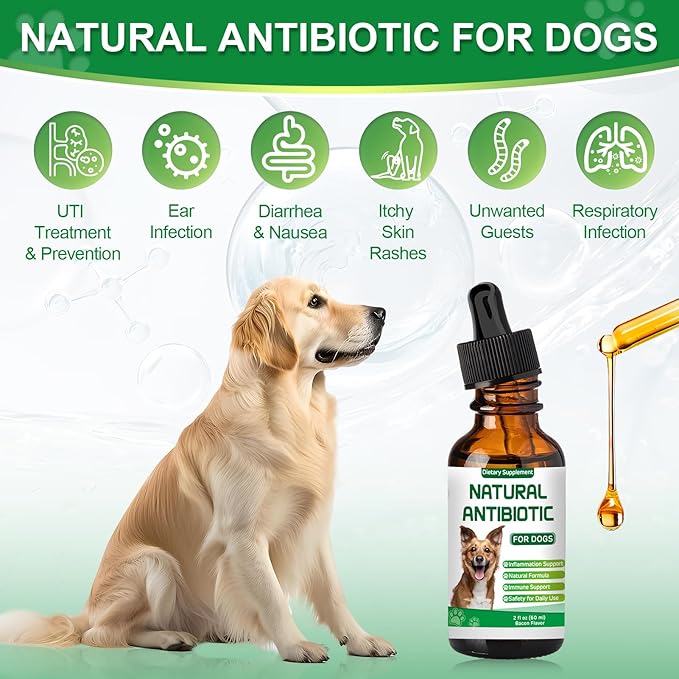 Antibiotics for Dogs,Natural Antibiotics for Dogs,Dog Antibiotic,Pet Antibiotic, Dog Multivitamin, Supports Allergy and Itch Relief,Dietary Supplement,Natural Herbal Supplement