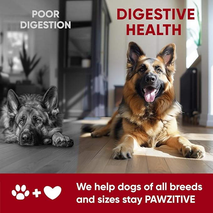 Chewable Probiotics for Dogs - Immune Support - Digestive Health - Probiotic Chews for Gut Health, Itchy Skin, Diarrhea - USA Product, Enzymes - Dog Digestive Support & Allergy Relief Chews