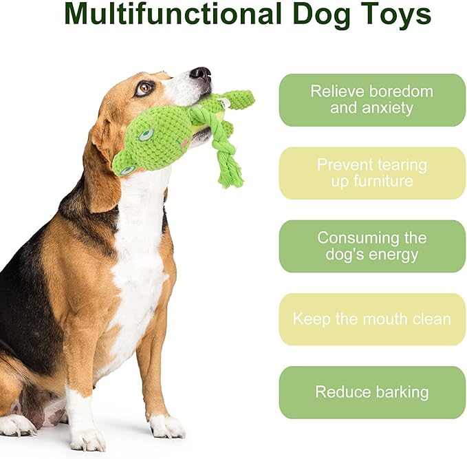 TONYFY Dog Toys, Dog Squeaker Toys with Crinkle Paper, Stuffed Animal Dog Plush Chewing Toy, Cotton Rope Interactive Toys for Puppy, Small, Middle Dogs (Green Frog)